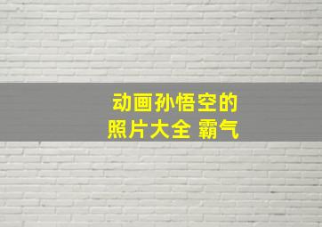 动画孙悟空的照片大全 霸气